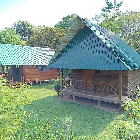 Quirquincho House Lodge 马尔多纳多港 外观 照片