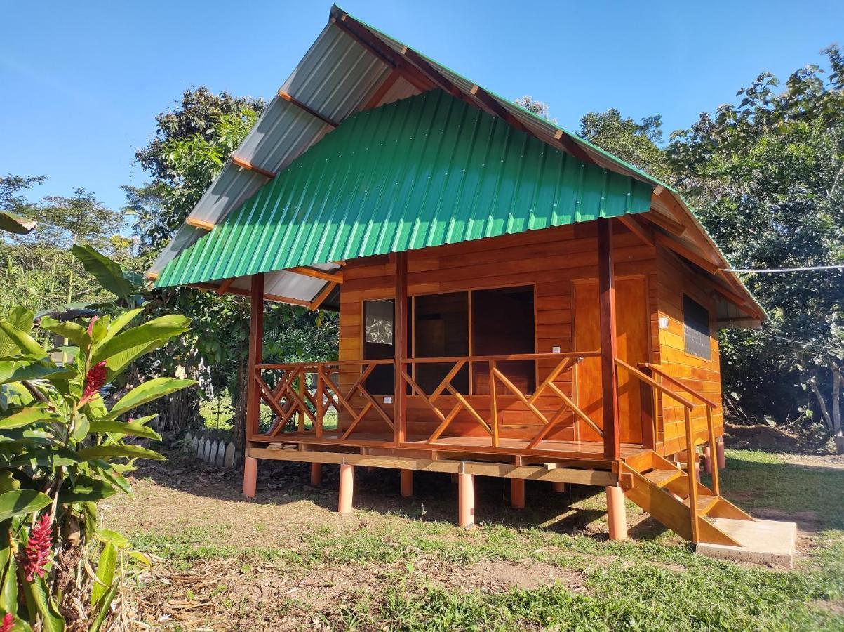 Quirquincho House Lodge 马尔多纳多港 外观 照片