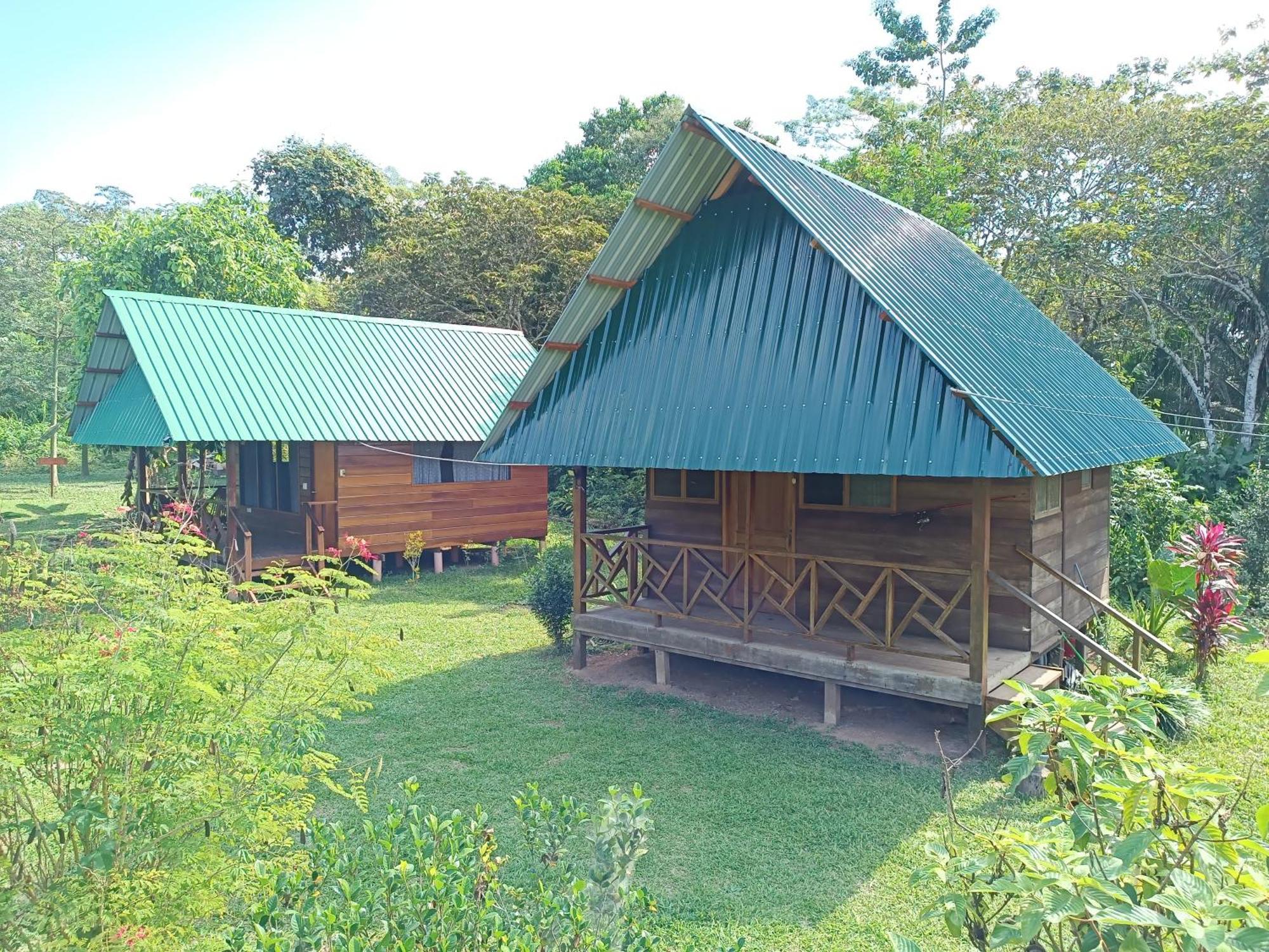 Quirquincho House Lodge 马尔多纳多港 外观 照片