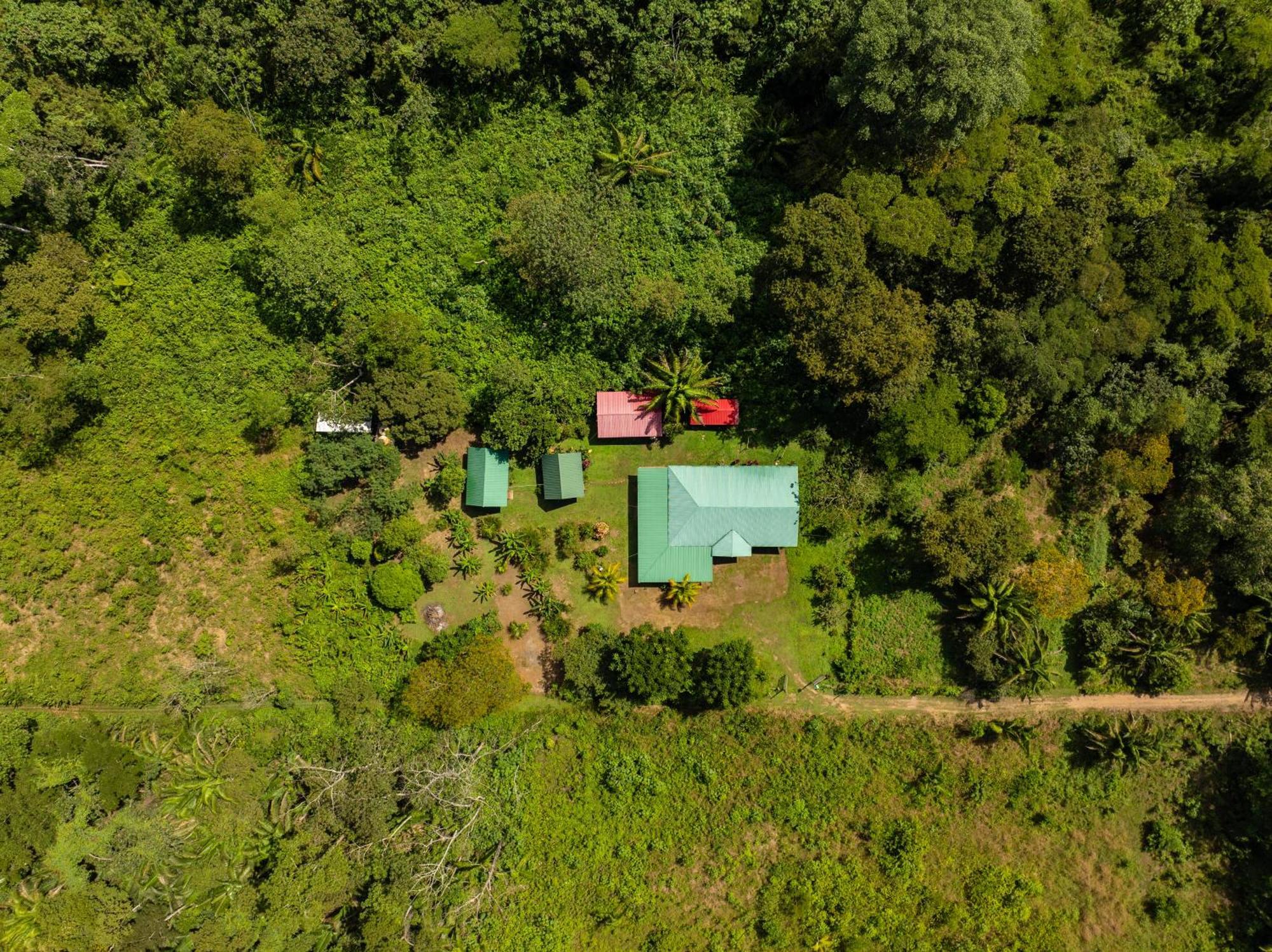 Quirquincho House Lodge 马尔多纳多港 外观 照片